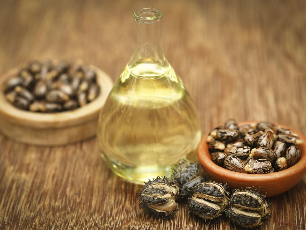 Comprendre les Dangers de l'Huile de Ricin pour les Cils et les Sourcils.